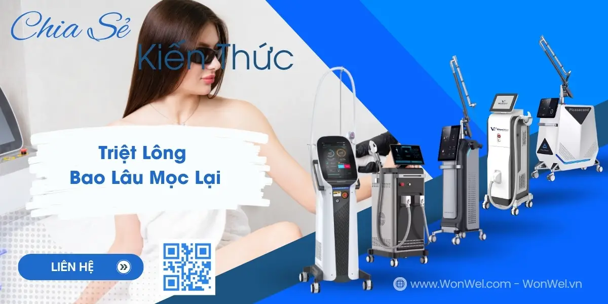 triet long bao lau moc lai 689959de1be3d