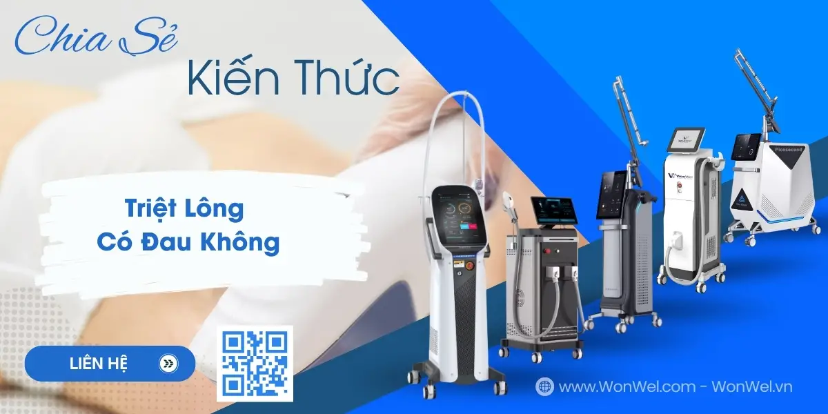 triet long co dau khong 68995902e4e6d